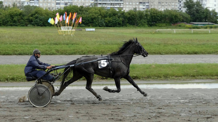 Similar image 21771414