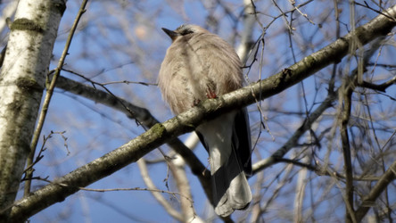 Similar image 21771219