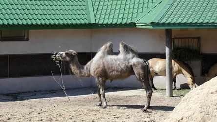 Similar image 21771222