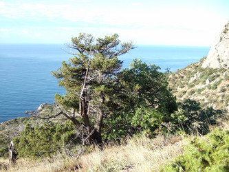 Similar image 21768779