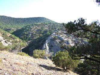 Similar image 21768783