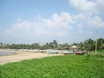 Similar image 21768788