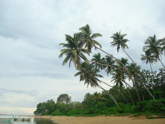 Similar image 21768789