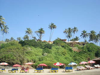 Similar image 21768794