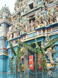 Similar image 21768803