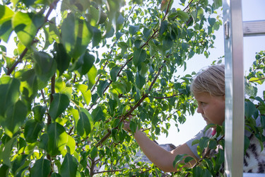 Similar image 21785189