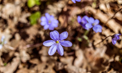 Similar image 21769959