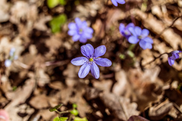 Similar image 21769960