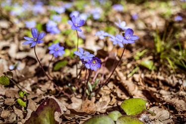 Similar image 21769961