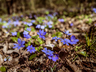 Similar image 21769962