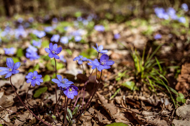 Similar image 21769963