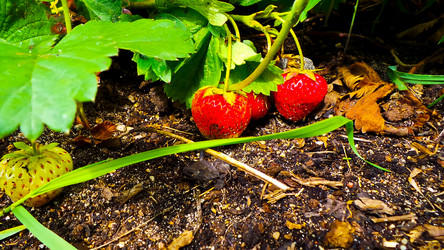 Similar image 21769964