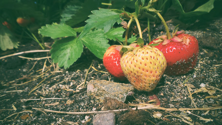 Similar image 21769965