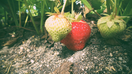 Similar image 21769966