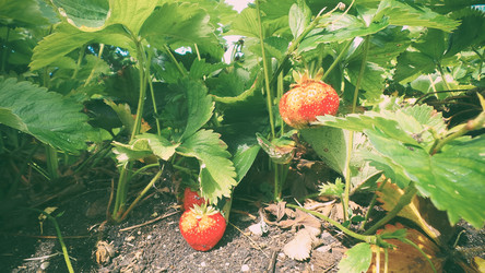 Similar image 21769967