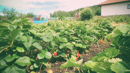 Similar image 21769968