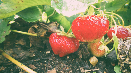 Similar image 21769970