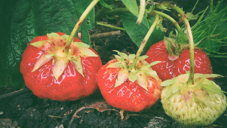 Similar image 21769973