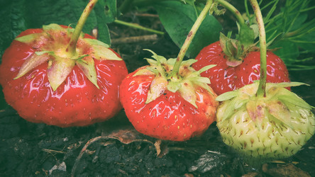 Similar image 21769974