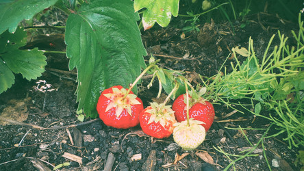 Similar image 21769975