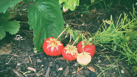 Similar image 21769976