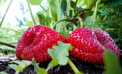 Similar image 21769977