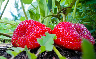 Similar image 21769978