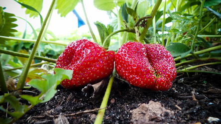 Similar image 21769979