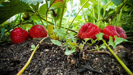 Similar image 21769981