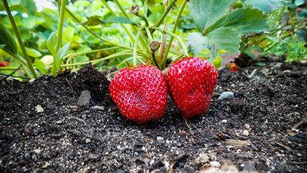 Similar image 21769983