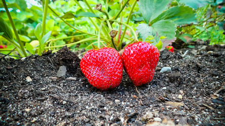 Similar image 21769984