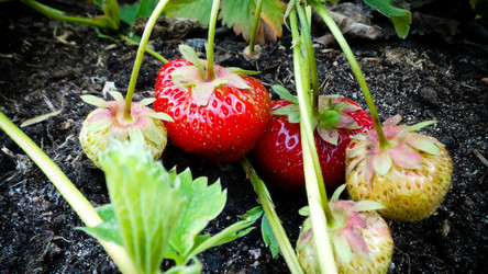 Similar image 21769985