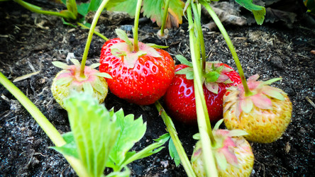 Similar image 21769986