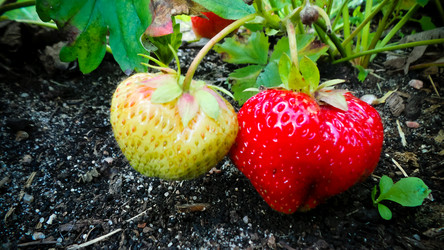 Similar image 21769988