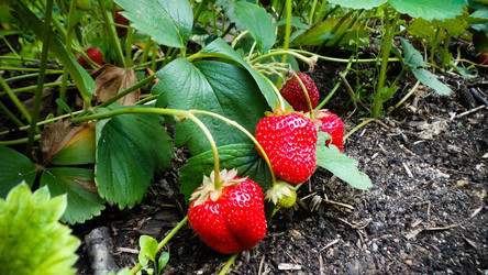 Similar image 21769989