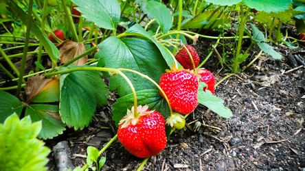 Similar image 21769990