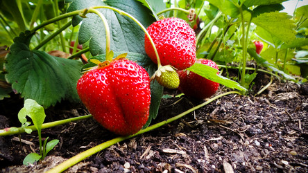 Similar image 21769991