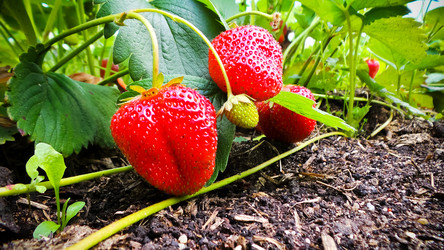 Similar image 21769992