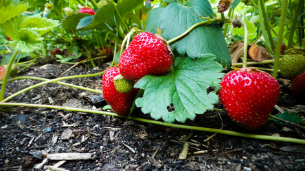 Similar image 21769993