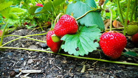 Similar image 21769994