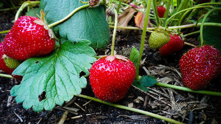 Similar image 21769995