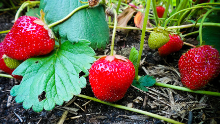 Similar image 21769996