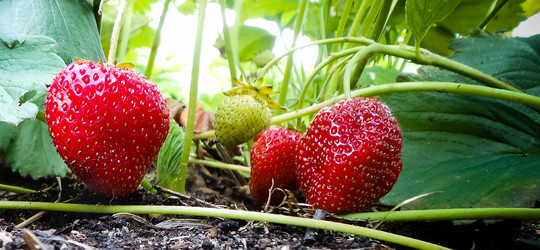 Similar image 21769997