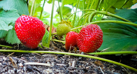 Similar image 21769998