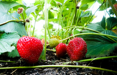 Similar image 21769999