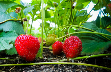 Similar image 21770000