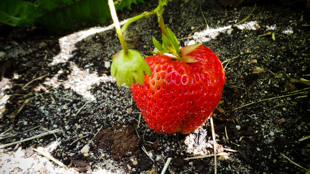 Similar image 21770001