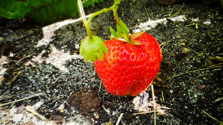 Similar image 21770002