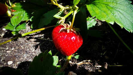 Similar image 21770003