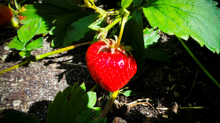 Similar image 21770004